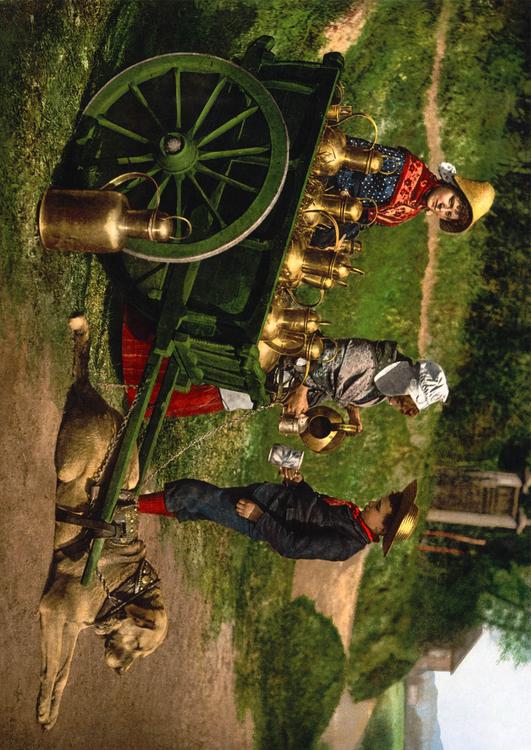 Milchverkäufer mit Hundekarre - 1890 Belgien
