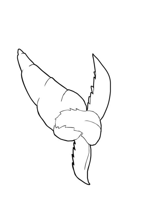 Mohrrübe