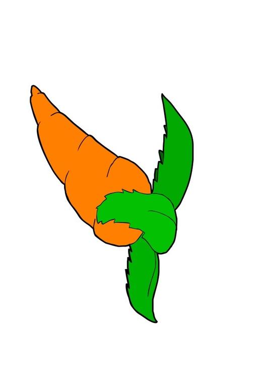 Mohrrübe