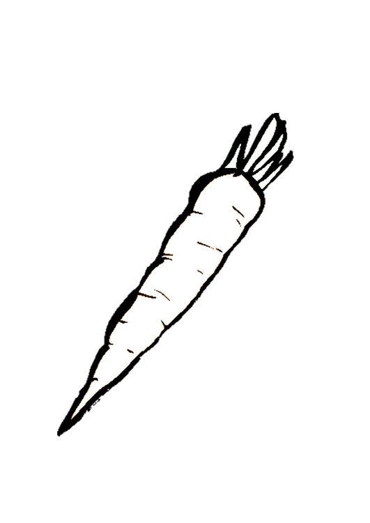 Mohrrübe