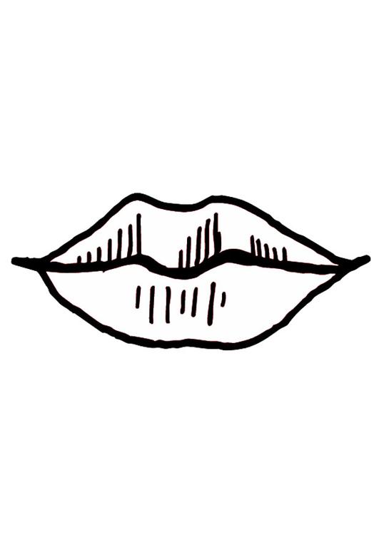 Mund / Lippen