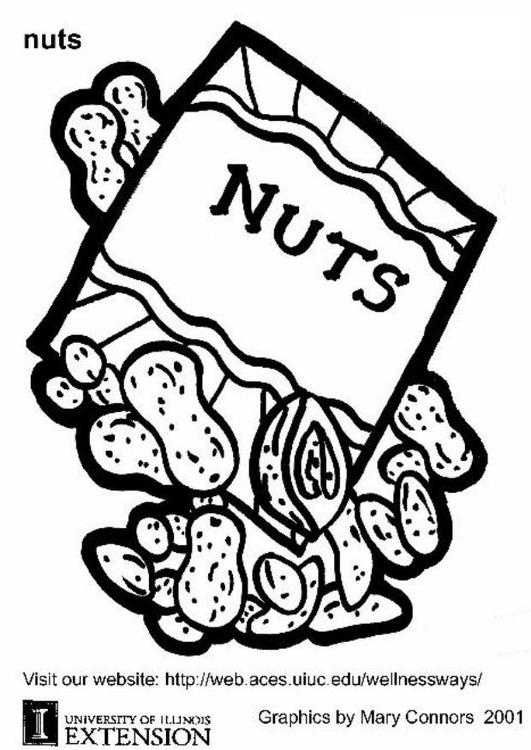 Nüsse