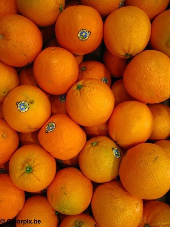 Orangen