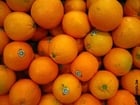 Fotos Orangen