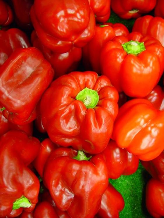 Paprika