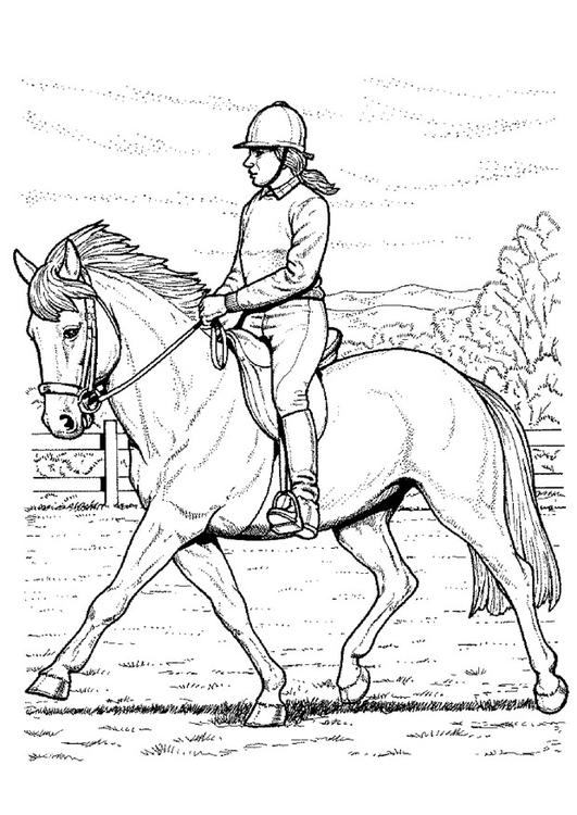 Pferd reiten