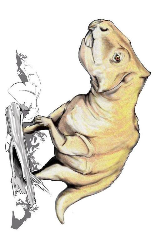 Prenoceratops DInosaurier