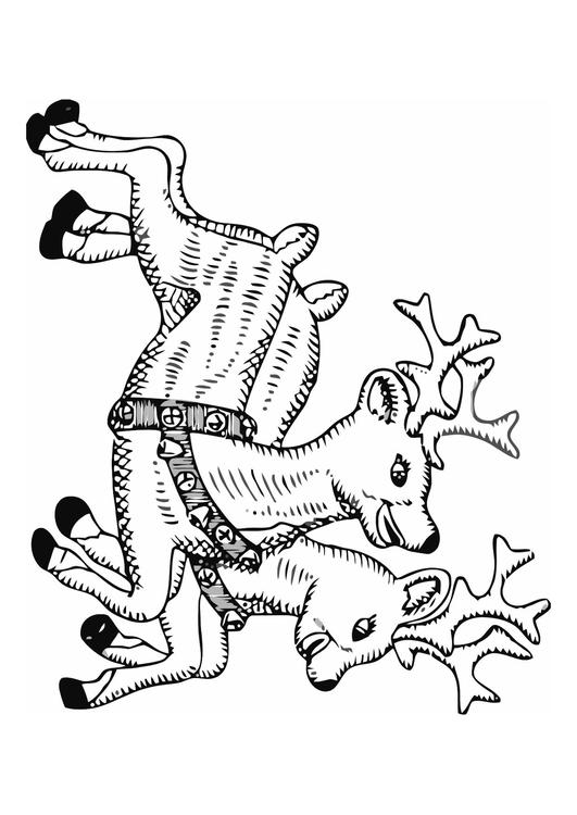 Rentiere