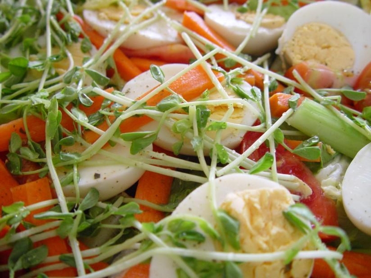 Foto Salat