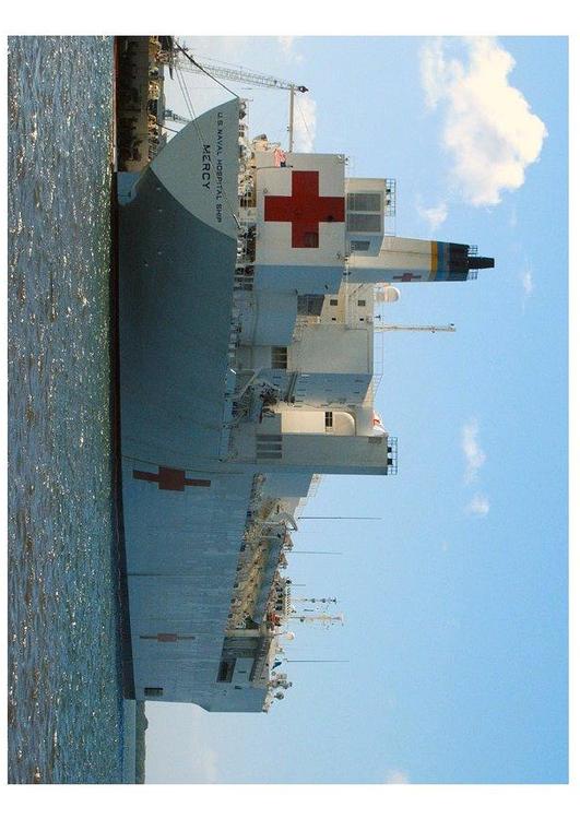 Sanitätsschiff