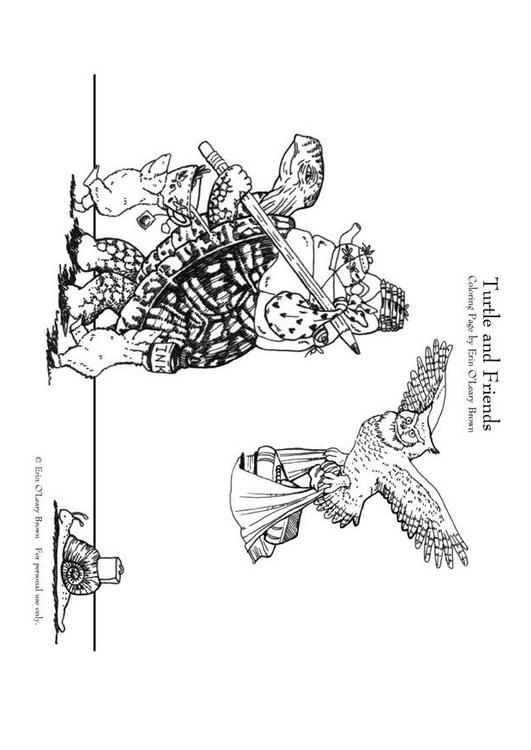 Schildkröte und Freunde