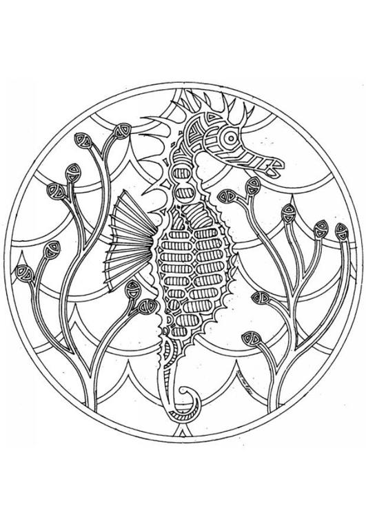 seepferdchen