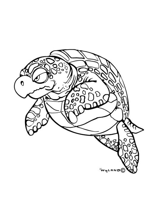 Seeschildkröte