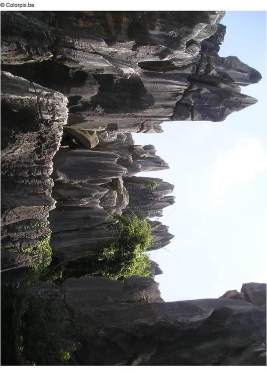 Steinerner Wald Kunming
