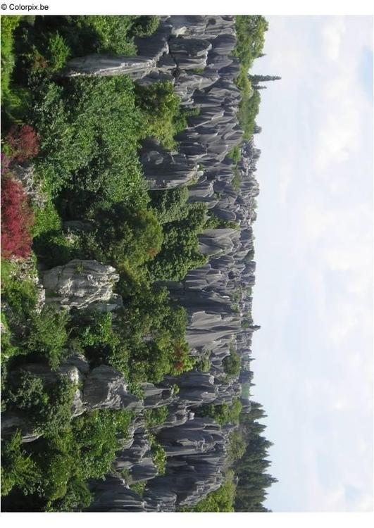 Steinerner Wald Kunming