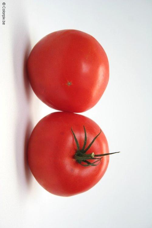 Tomaten
