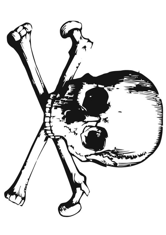 Totenschädel