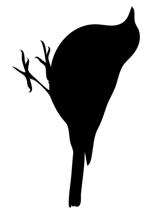 Vögel