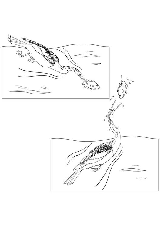 Vogel fängt Fisch