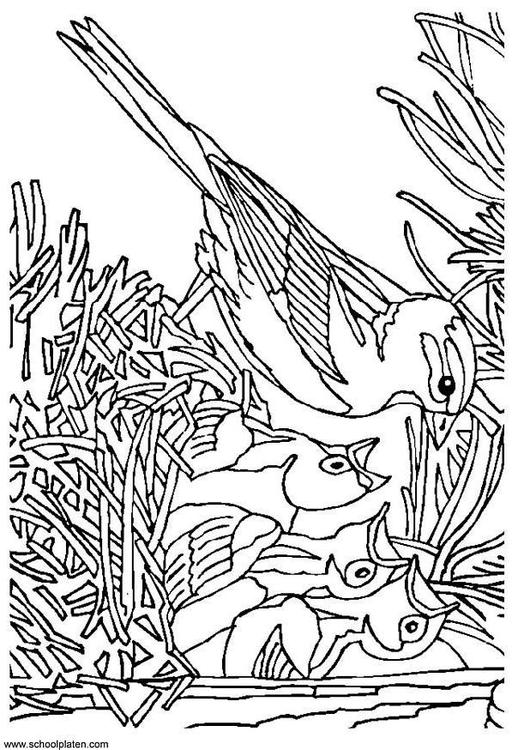 Vogel mit Nest