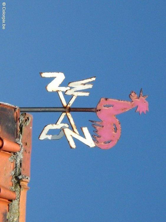 Wetterhahn