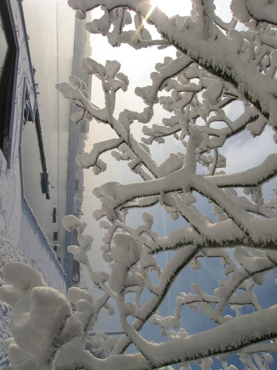 Winter