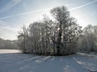 Fotos Winter