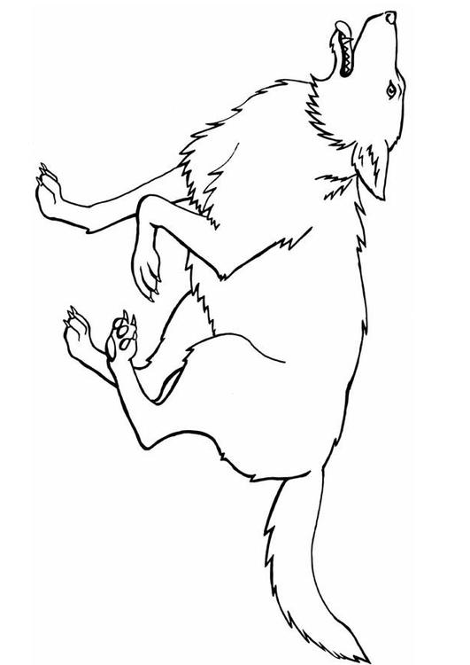 Wolf