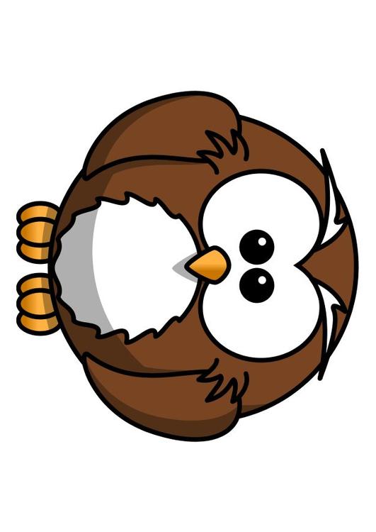 z1-Eule
