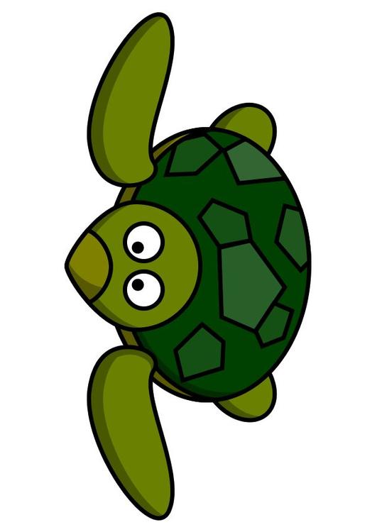 z1-Schildkröte