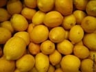 Fotos Zitronen