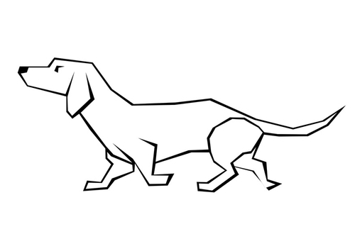 Hund