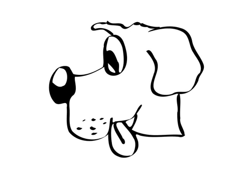 Hund