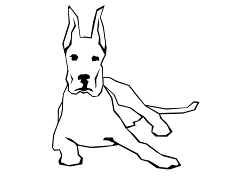 Hund