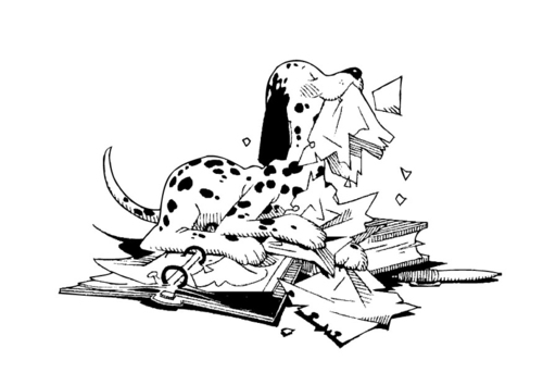 Hund