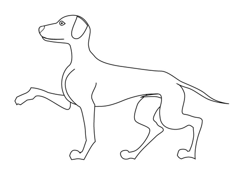 Hund
