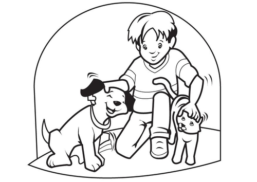 Hund und Katze