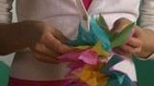 Clip: Blume