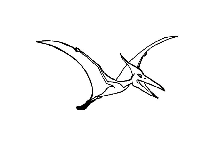 flugsaurier Malvorlage flugsaurier