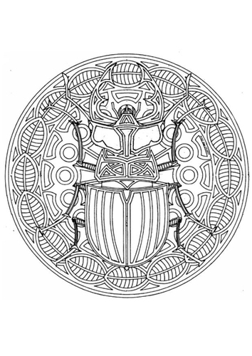 Käfer