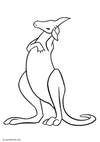 Känguru
