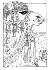 coloring pictures coloring pictures