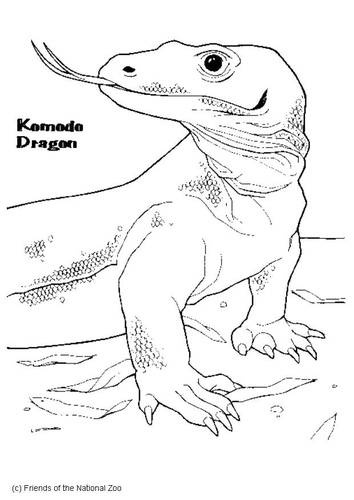 Komodowaran