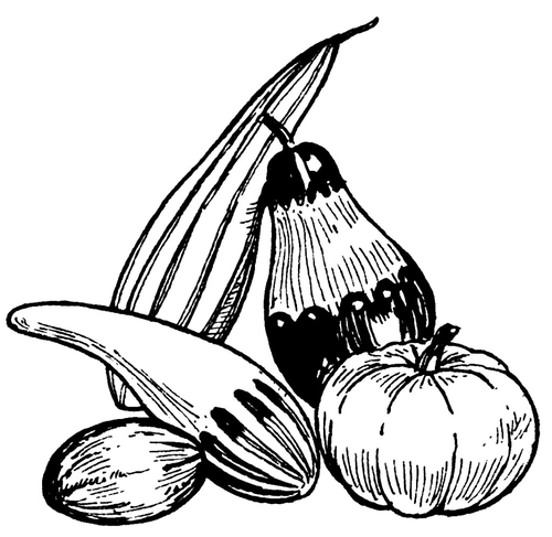 Malvorlage  Kürbisse