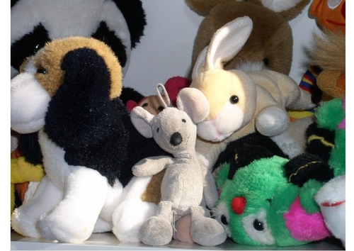 kuschelbär
