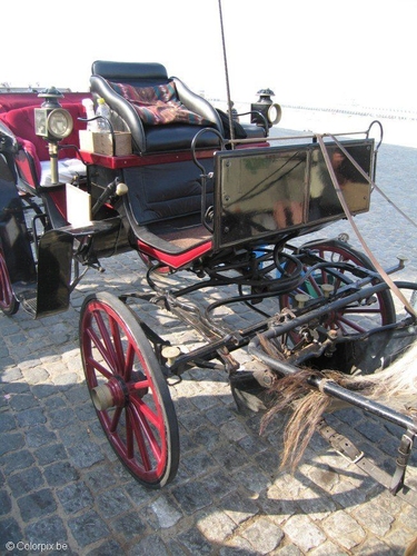 Foto Kutsche 2