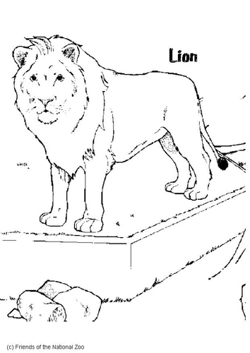 Löwe