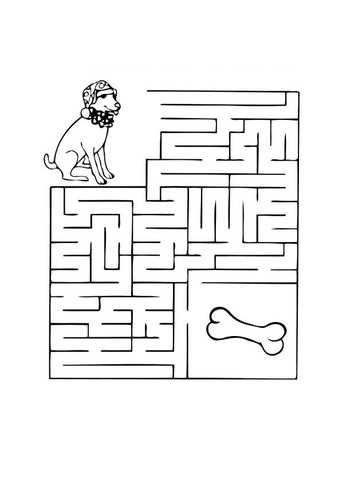 Labyrinth Hund