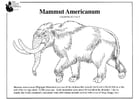 Malvorlagen amerikanisches Mammut