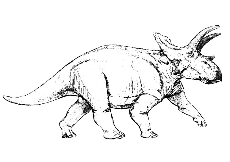 Malvorlage  Anchiceratops dinosaurus